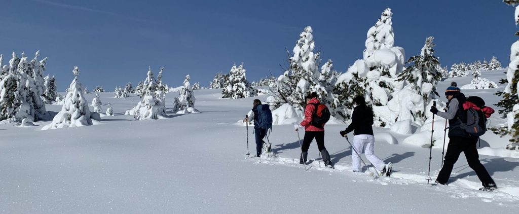 AMM - le milieu montagnard enneigé